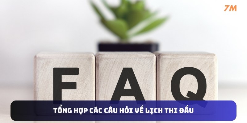  câu hỏi về lịch thi đấu